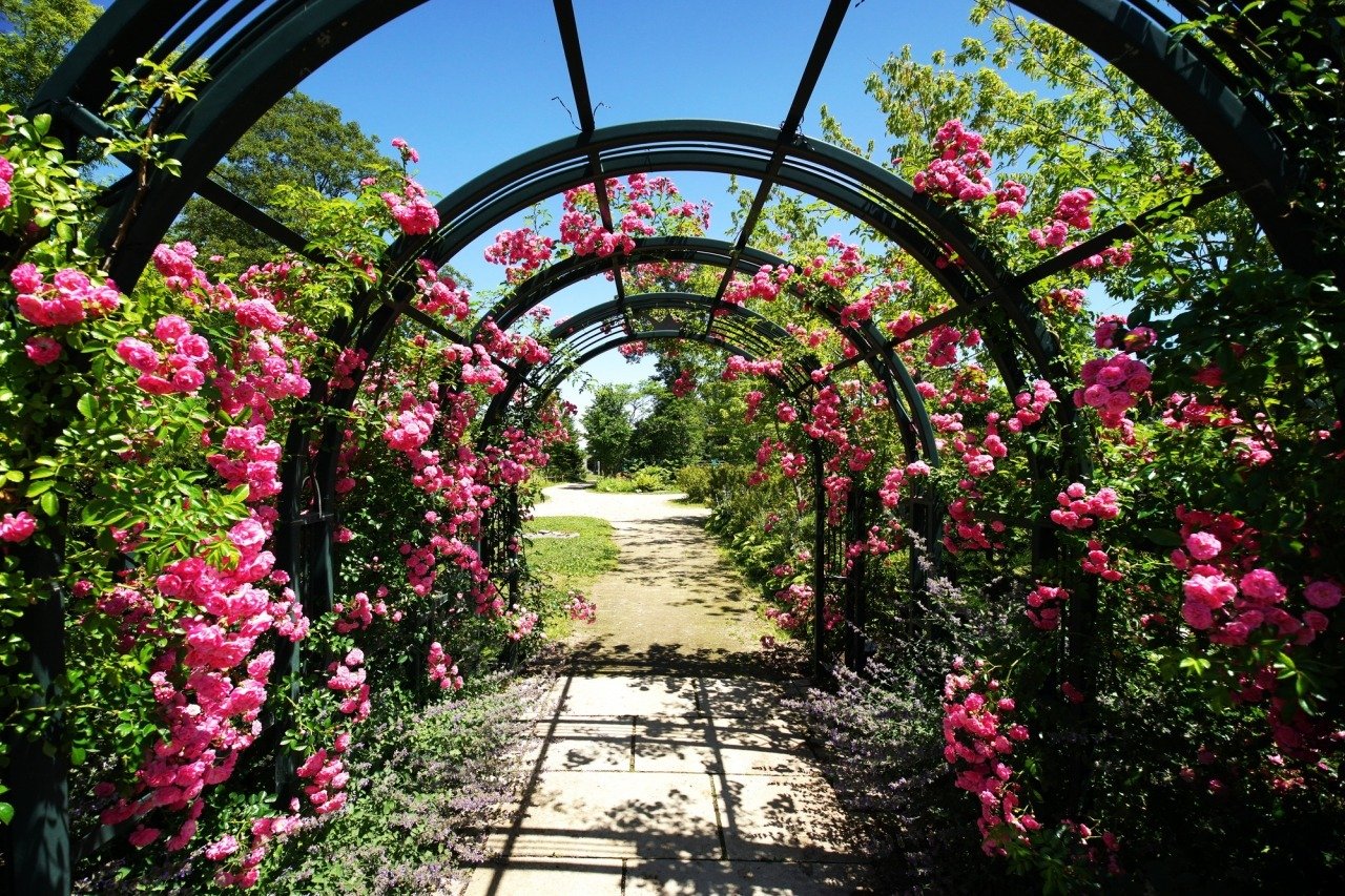 🏞️ 에코린 마을(에코린무라) 이미지 1